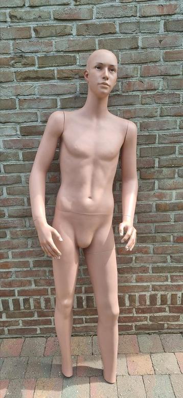 Mannequin, Enlèvement