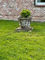 Tuinvaas op voetstuk, Jardin & Terrasse, Vases de jardin, Enlèvement ou Envoi