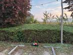 Snoeien 30 euro, Tuin en Terras, Heggenscharen, Ophalen