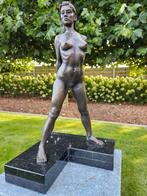 Duriez Irénée staand naakt brons '94, ook beelden gevraagd!, Enlèvement ou Envoi