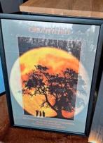 Kader 54 x 74 cm, Enlèvement