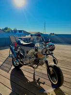 Dax 150YX type CRF, Particulier