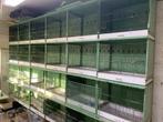 Cages d’élevage pour canaris en 40x40x60 et 50x50x90 cm, Animaux & Accessoires, Comme neuf, Cage d'élevage, Métal