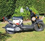 Honda zoomer b klasse BAR uitvoering, Fietsen en Brommers, Brommers | Honda, Overige modellen, Ophalen of Verzenden, 50 cc, Klasse B (45 km/u)