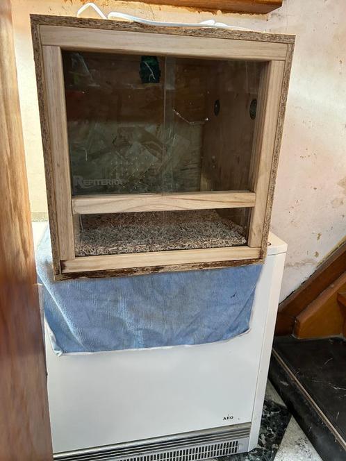 Osb terrarium 40x40x40, Dieren en Toebehoren, Reptielen en Amfibieën | Toebehoren, Gebruikt, Terrarium of Paludarium, Ophalen