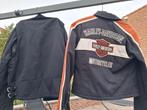 Allerlei motorkleding large en medium, Motoren, Ophalen, Jas | leer
