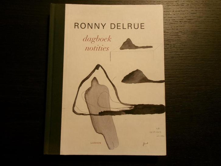 Dagboeknotities  -Ronny Delrue-, Boeken, Kunst en Cultuur | Beeldend, Ophalen of Verzenden