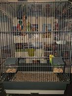2 perruches avec cage et accessoires, Animaux & Accessoires, Enlèvement ou Envoi, Neuf, Cage à oiseaux