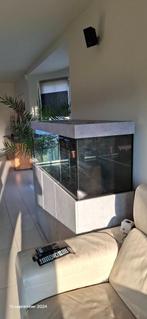 AQUARIUM 450 L, Ophalen, Zo goed als nieuw, Leeg aquarium