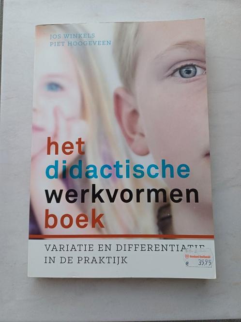 Piet Hoogeveen - Het didactische werkvormenboek, Boeken, Wetenschap, Zo goed als nieuw, Ophalen of Verzenden