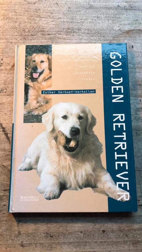 E. Verhoef-Verhallen - Golden Retriever, Livres, Animaux & Animaux domestiques, Comme neuf, Chiens, Enlèvement ou Envoi