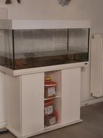 Aquarium., Dieren en Toebehoren, Ophalen, Zo goed als nieuw