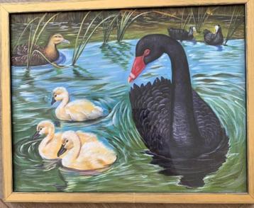 Zwarte zwaan met kuikens geschilderd op zijde beschikbaar voor biedingen