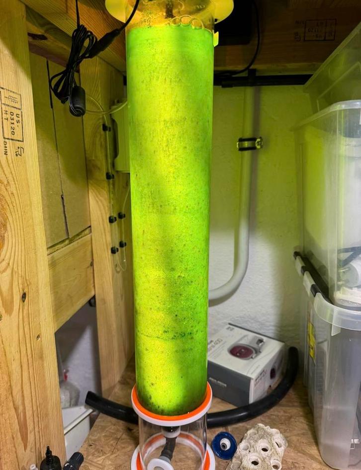 Complete phytokweek setup, Dieren en Toebehoren, Vissen | Aquaria en Toebehoren, Zo goed als nieuw, Ophalen