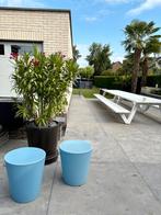 Moving Stool Design Kruk, 2 krukken, Ophalen