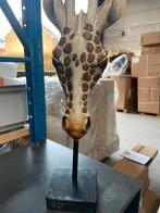 Giraf op staander, Ophalen, Zo goed als nieuw