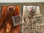 Nieuw! 2 x dierensjaaltje, Kleding | Heren, Mutsen, Sjaals en Handschoenen, Ophalen of Verzenden, Nieuw, Sjaal