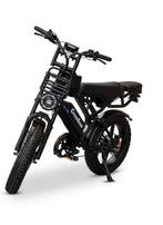 Fatbike V20, Fietsen en Brommers, Elektrische fietsen, Zo goed als nieuw, 59 cm of meer, 50 km per accu of meer, Ophalen