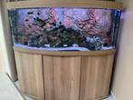 Aquarium Juwel 450, Dieren en Toebehoren, Vissen | Aquaria en Toebehoren, Ophalen, Zo goed als nieuw