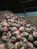 Voederbieten Rialto, Zakelijke goederen, Ophalen