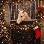 kwpn veulen, Dieren en Toebehoren, Merrie, Met stamboom, Springpony, 0 tot 2 jaar