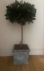 Imitatie buxus in pot, Huis en Inrichting, Woonaccessoires | Kunstplanten en Kunstbloemen, Ophalen, Zo goed als nieuw