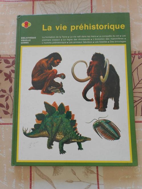 La vie préhistorique, Boeken, Kinderboeken | Jeugd | 10 tot 12 jaar, Gelezen, Ophalen of Verzenden