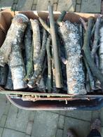 Droog brandhout, Enlèvement