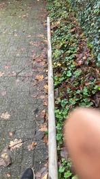 Trapleuning. Hout, Doe-het-zelf en Bouw, Ophalen, Gebruikt, 25 tot 50 mm, Grenen