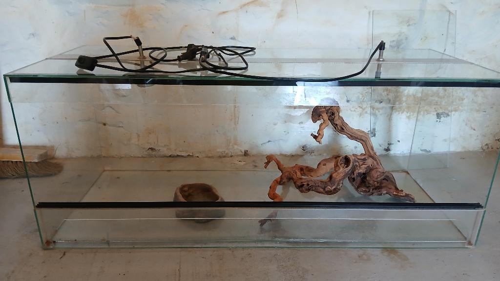 TERRARIUM 100x50x50, Animaux & Accessoires, Enlèvement, Utilisé, Terrarium ou Paludarium