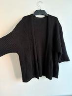 Vest vrouwen L, Kleding | Dames, Truien en Vesten, Ophalen of Verzenden, Zo goed als nieuw