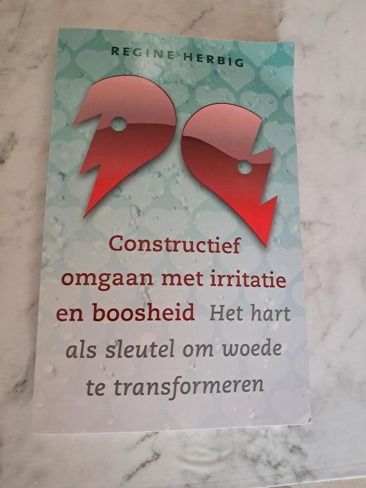 Constructie omgaan met irritatie en boosheid - Regine Herbig, Boeken, Psychologie, Nieuw, Persoonlijkheidsleer, Ophalen of Verzenden