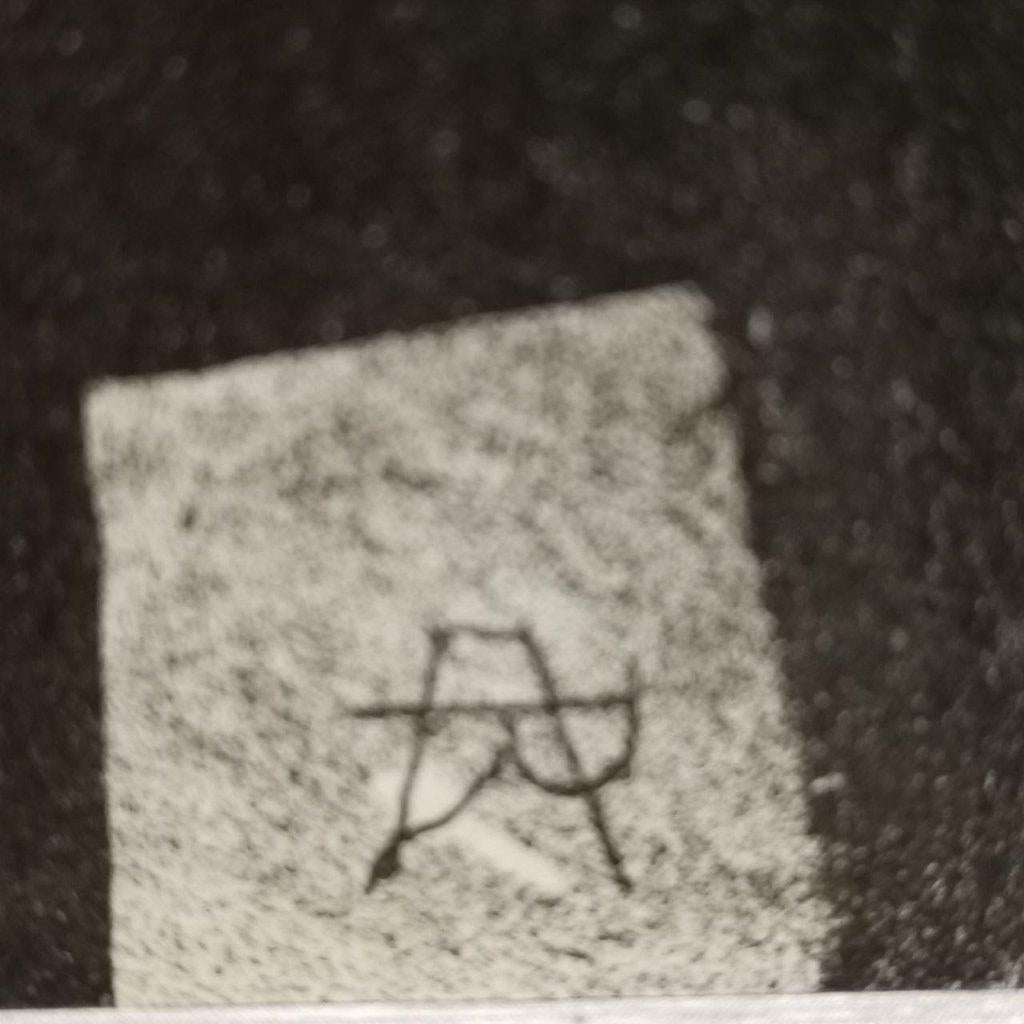 Jeune dame à sa coiffure (vers 1895-1910)-Armand Rassenfosse, Enlèvement, Eau-forte