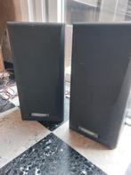 Pioneer speakers, Enlèvement