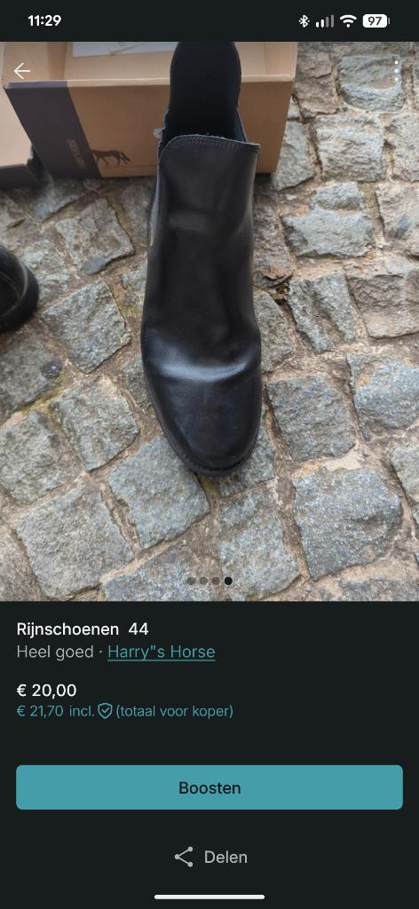 Chaussures d'équitation, Enlèvement ou Envoi, Comme neuf, Autres espèces, Hommes