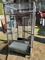 Grote vogelkooi, Enlèvement, Cage à oiseaux