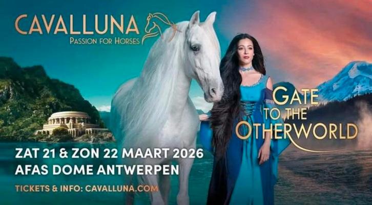 Tickets Cavalluna, 21 mars - AFAS Dome Antwerp, Tickets & Billets, Événements & Festivals, Trois personnes ou plus