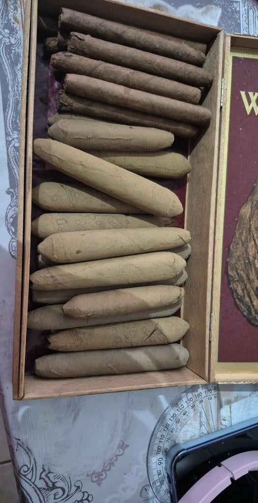 vieux cigares, Enlèvement