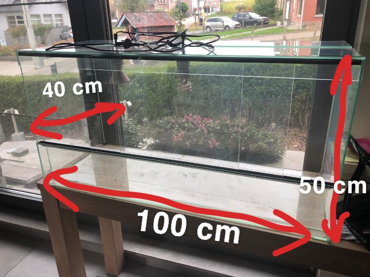 Terrarium, Ophalen, Zo goed als nieuw