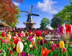 Billets Keukenhof tulip garden Holland, Ticket ou Carte d'accès