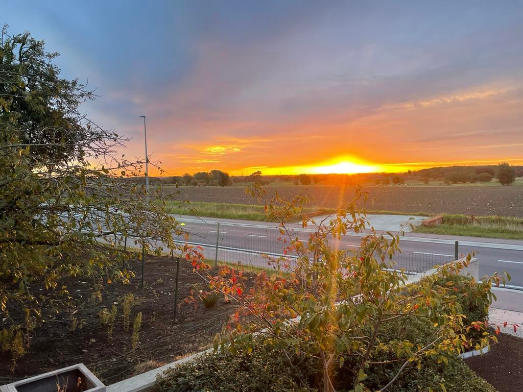 Vakantiehuis/ vakantiewoning / appartement, Vakantie, Appartement, Eigenaar, 6 personen, Open haard