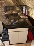 Hamster kooi en kastje, Dieren en Toebehoren, Kooi, Gebruikt, Muis, 75 tot 110 cm