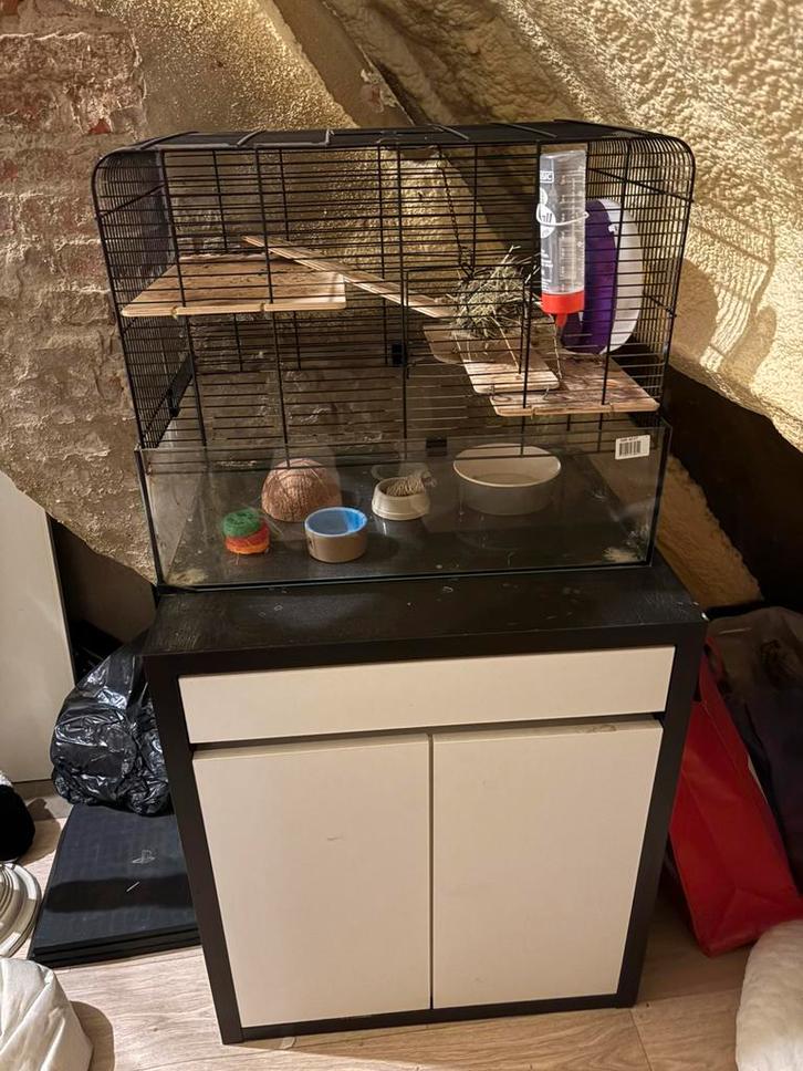 Cage et armoire à hamsters, Animaux & Accessoires, Rongeurs & Lapins | Cages & Clapiers, Utilisé, Cage, Moins de 60 cm, 75 à 110 cm