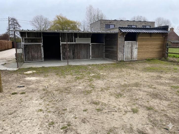 paardeweide te huur, Animaux & Accessoires, Box & Pâturages, Mise à l'étable, Pâturage, 2 ou 3 chevaux ou poneys