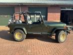 Jeep Wrangler 2.5i Voiture Voyageurs à toit souple 1996, Autos, Jeep, Euro 2, Achat, Entreprise, Cabriolet