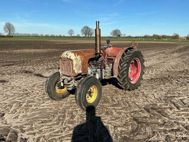 Tracteur Eicher ES201 Oldtimer de 1963, Articles professionnels, Agriculture | Tracteurs, Autres marques, Oldtimer/Ancêtre