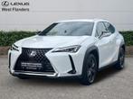 Lexus UX 250h Business Line Plus, Auto's, Lexus, Automaat, Euro 6, Wit, Bruin