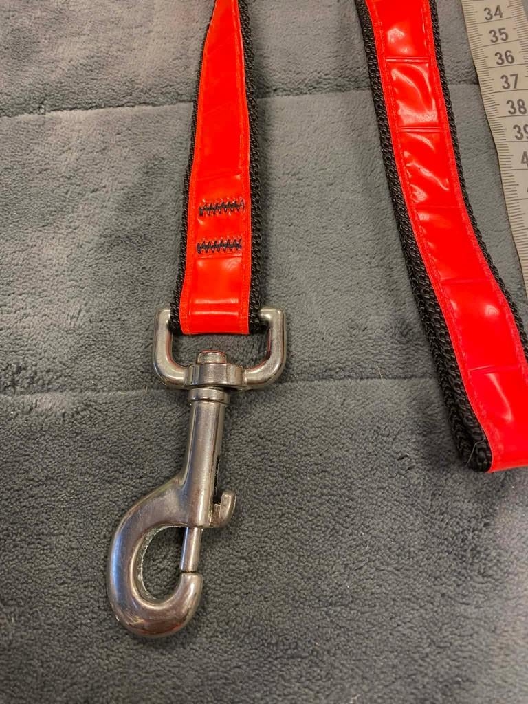 Fluo / reflecterende leiband aan outletprijsje !, Animaux & Accessoires, Colliers & Médailles pour chiens, Neuf, Enlèvement ou Envoi
