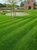 Service de Jardinage Professionnel – Entretien & Aménagement, Enlèvement, Comme neuf