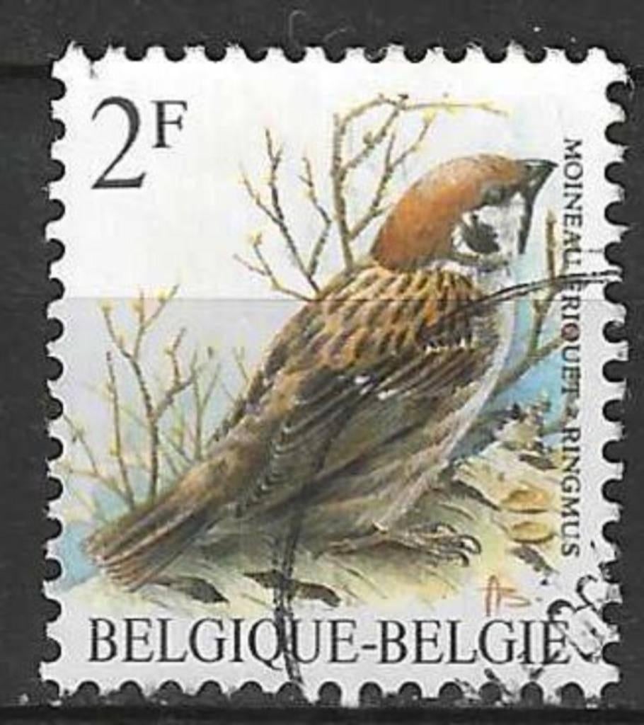 Belgique 1989 - Yvert 2348 /OBP 2347 - Buzin - Ringmus (ST), Timbres & Monnaies, Envoi, Affranchi, Oblitéré, Véhicules